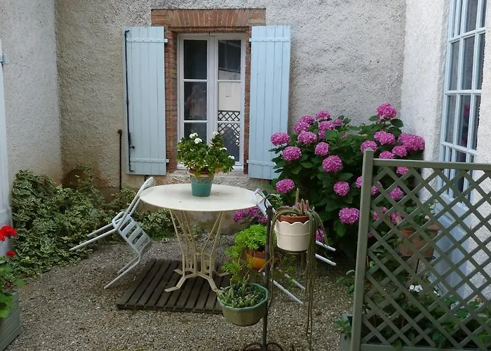 Chambres D'hotes Chez Patricia 住宿加早餐酒店 Lisle-sur-Tarn