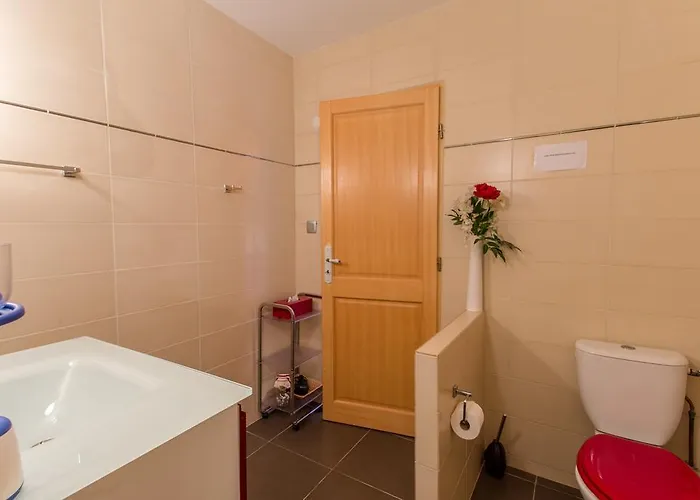 Chambres D'hotes Chez Patricia * Lisle-sur-Tarn